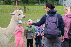 IMG_20240604_103334