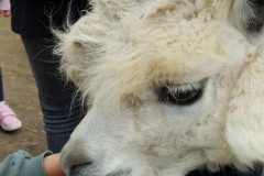 IMG_20240604_103454