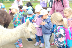 IMG_20240604_103549