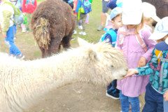 IMG_20240604_103605