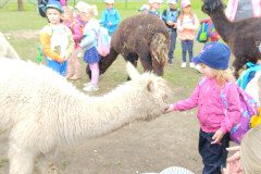 IMG_20240604_103618