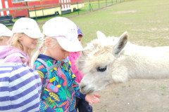 IMG_20240604_103640