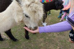 IMG_20240604_103704
