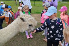 IMG_20240604_103736