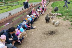 IMG_20240604_104558