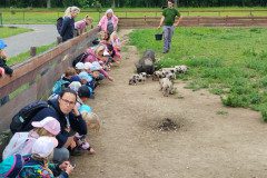 IMG_20240604_104615