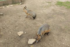 IMG_20240604_105053