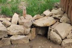 IMG_20240604_105324