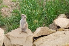 IMG_20240604_105357