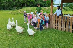 IMG_20240604_110025