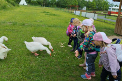 IMG_20240604_110103