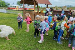IMG_20240604_110109