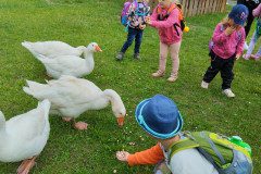 IMG_20240604_110114