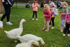 IMG_20240604_110128