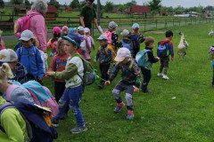 IMG_20240604_110141