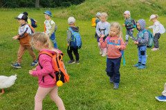 IMG_20240604_110233
