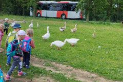 IMG_20240604_110337
