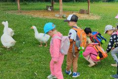 IMG_20240604_110404