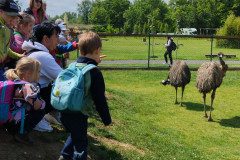 IMG_20240604_111434