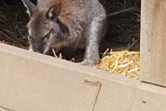 IMG_20240604_111556