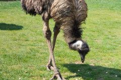 IMG_20240604_111620