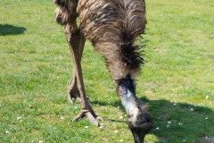 IMG_20240604_111623