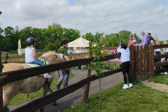 IMG_20240604_112643