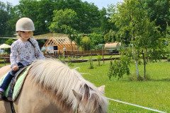 IMG_20240604_113113