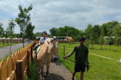 IMG_20240604_114033