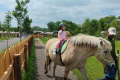 IMG_20240604_114039