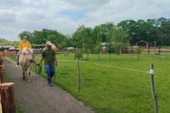 IMG_20240604_114450