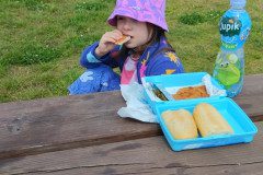 IMG_20240604_120246