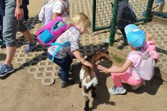IMG_20240604_124511