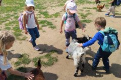 IMG_20240604_124520