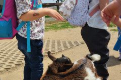 IMG_20240604_124603