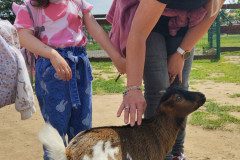 IMG_20240604_124611