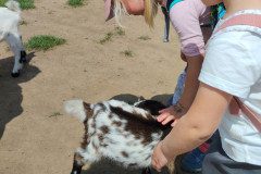 IMG_20240604_124658