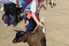 IMG_20240604_124705