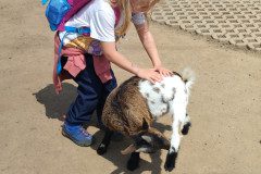 IMG_20240604_124712