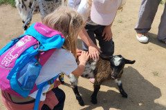 IMG_20240604_124720