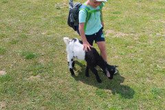 IMG_20240604_124751