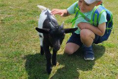 IMG_20240604_124805