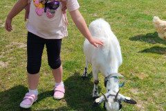 IMG_20240604_124819