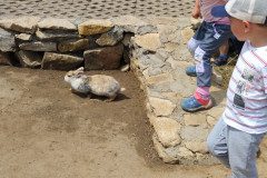 IMG_20240604_133054