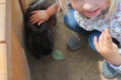 IMG_20240604_133115