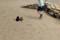 IMG_20240604_133208