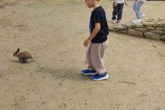 IMG_20240604_133216