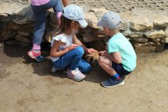 IMG_20240604_133249
