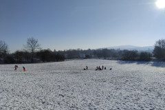 IMG_20240109_104606