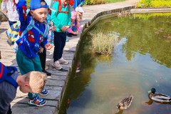 IMG-20260506-WA0027